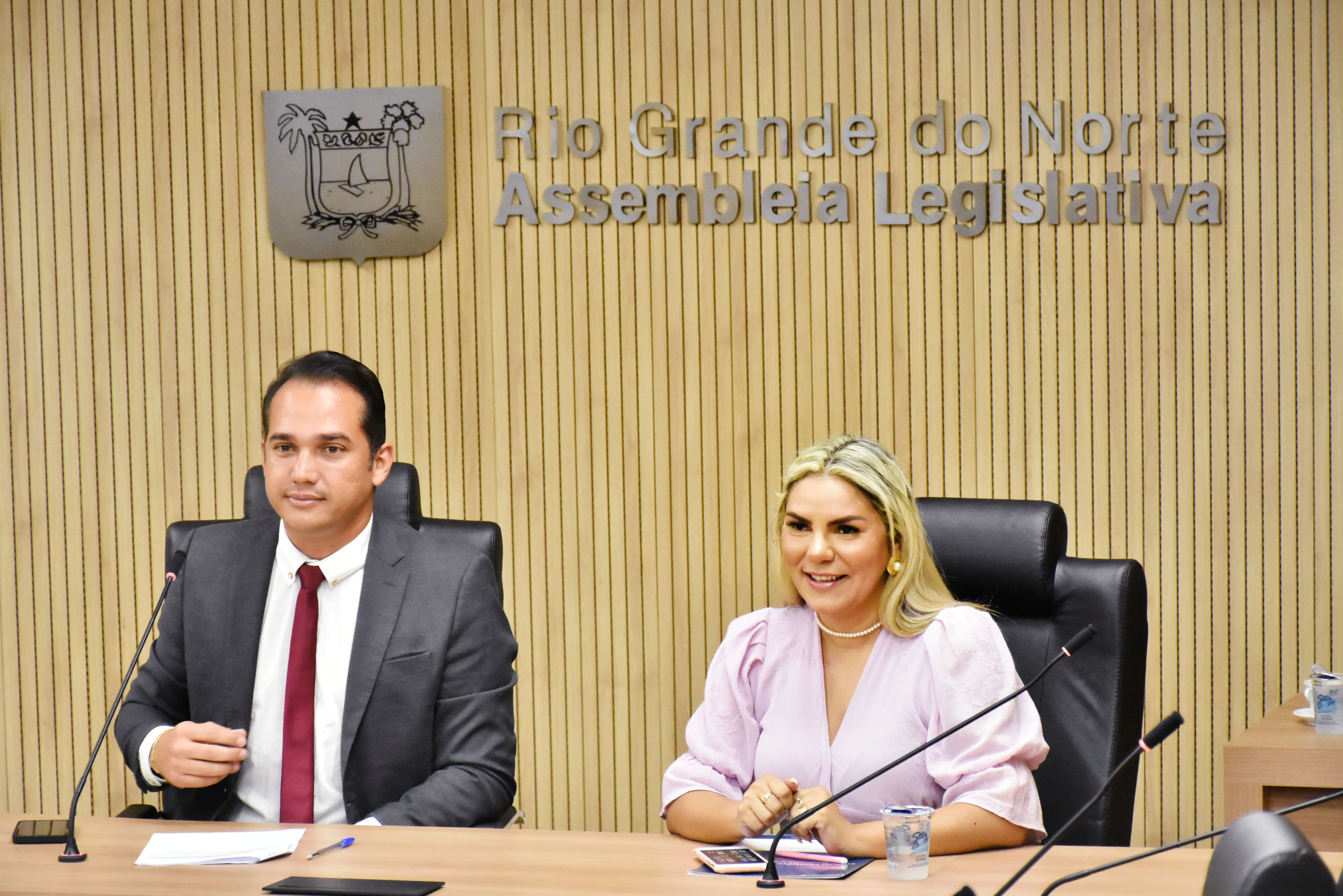 Comissão do Consumidor aprova conscientização contra violência doméstica nas escolas