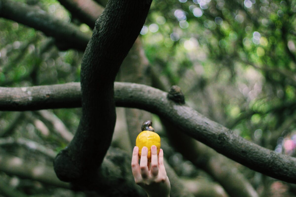 Cajueiro de Pirangi promove atividades nesta sexta (11) em comemoração ao Dia das Crianças