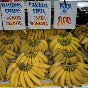 Nordeste como polo de inovação: mais de 4.400 startups em expansão