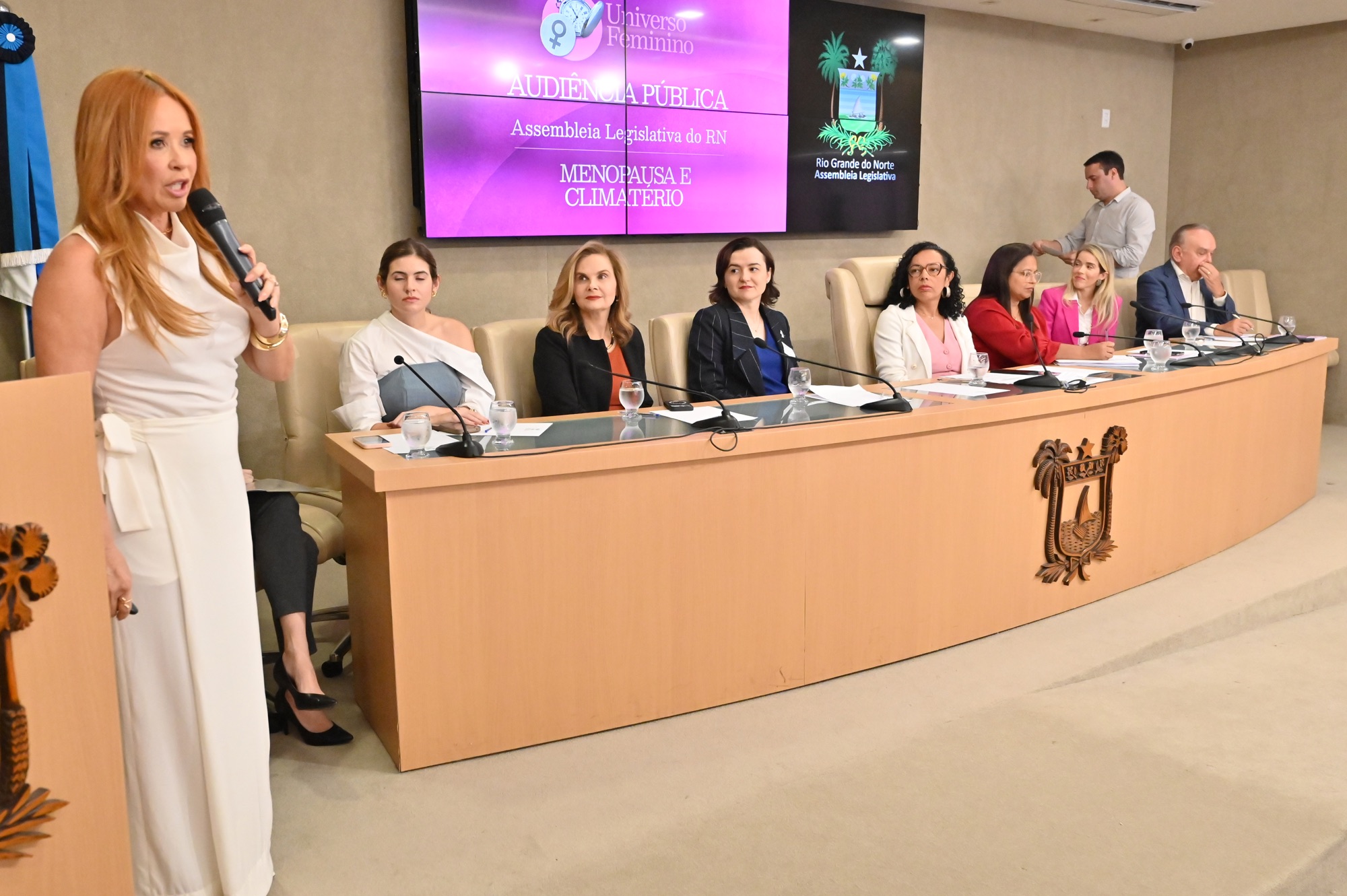 Debate na Assembleia cobra mais atenção à saúde da mulher no climatério e menopausa