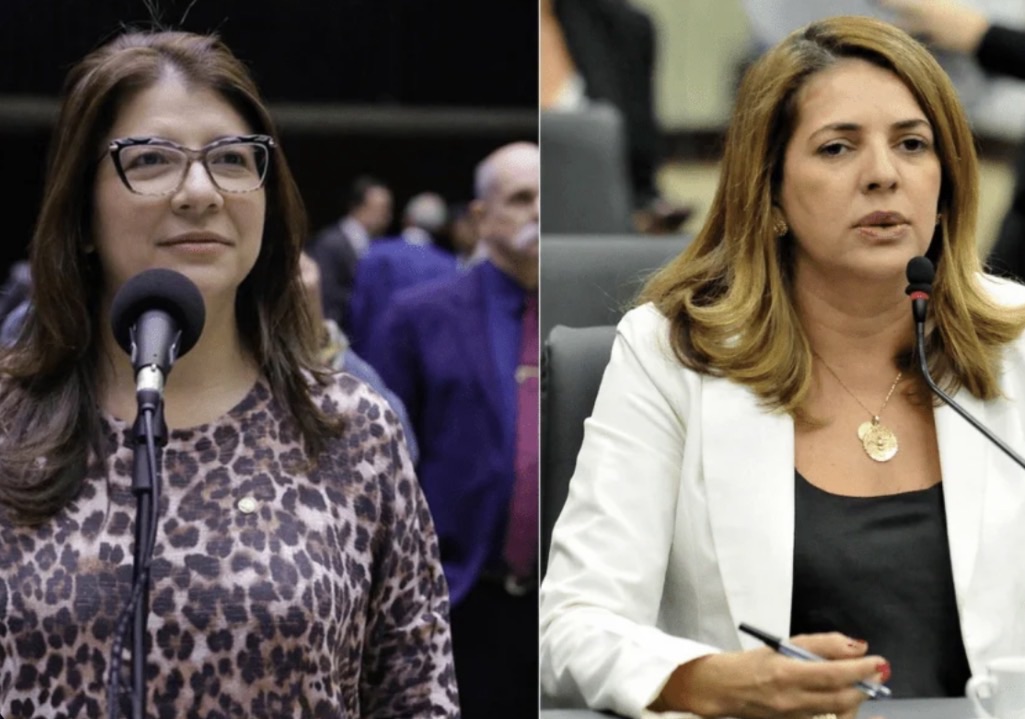 Após polêmica, Carla Dickson recua, pede perdão a Nina e reacende debate no PL
