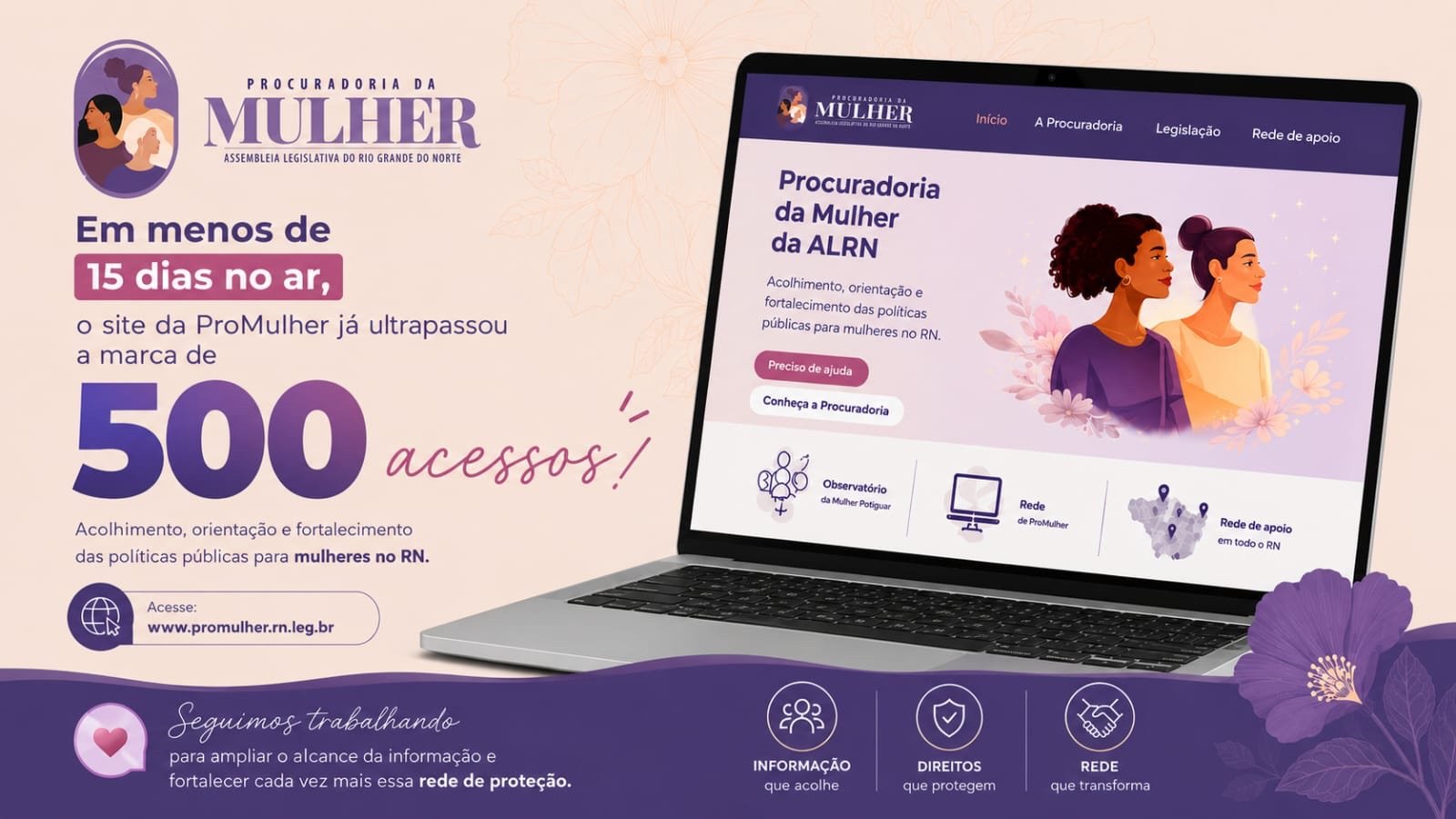 Novo portal da ProMulher registra mais de 500 acessos nas primeiras semanas
